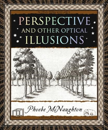Perspective: And Other Optical Illusions, Phoebe McNaughton - Paperback - 9781952178078