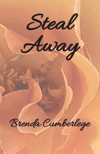 Steal Away, Brenda Cumberlege - Paperback - 9781952314117