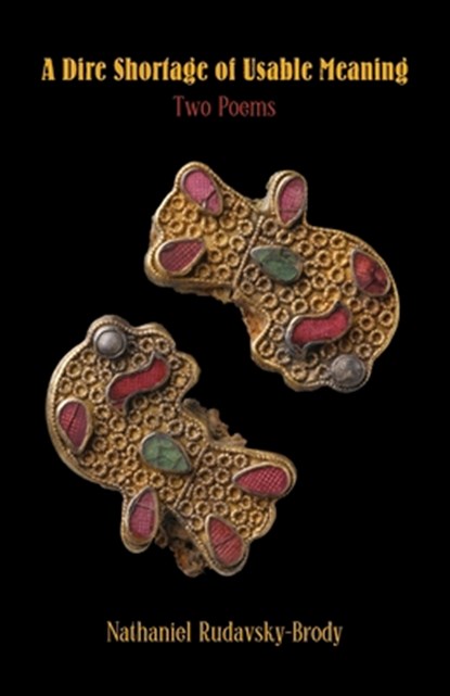 A Dire Shortage of Usable Meaning, Nathaniel Rudavsky-Brody - Paperback - 9781952335747