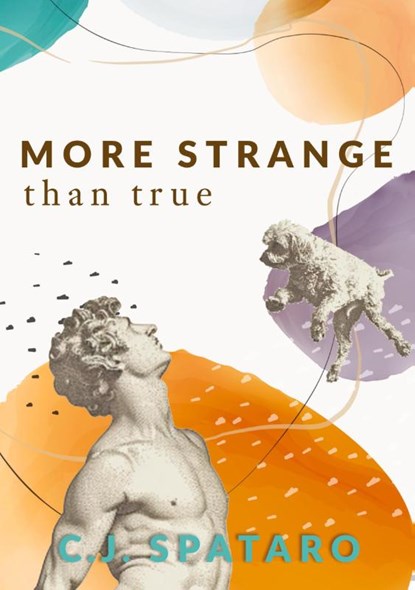 More Strange Than True, C. J. Spataro - Paperback - 9781952386954
