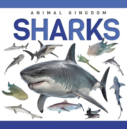Sharks, Alex Hall - Gebonden - 9781952455322