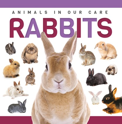 Rabbits, Alex Hall - Gebonden - 9781952455384
