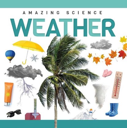 Weather, Rebecca Phillips-Bartlett - Paperback - 9781952455841