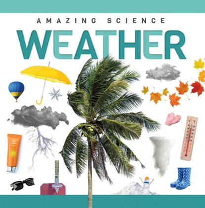Weather, Rebecca Phillips-Bartlett - Paperback - 9781952455841