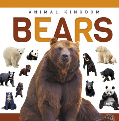 Bears, Alex Hall - Paperback - 9781952455865