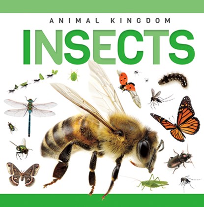 Insects, Rebecca Phillips-Bartlett - Paperback - 9781952455872