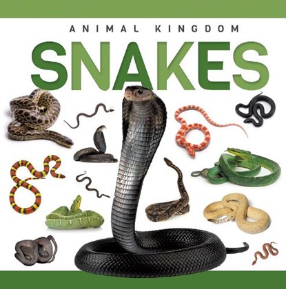Snakes, Rebecca Phillips-Bartlett - Paperback - 9781952455896