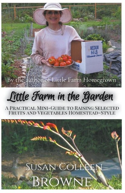 Little Farm in the Garden, Susan Colleen Browne - Paperback - 9781952470011