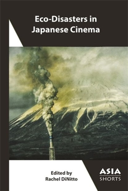 Eco-Disasters in Japanese Cinema, Rachel DiNitto - Paperback - 9781952636509