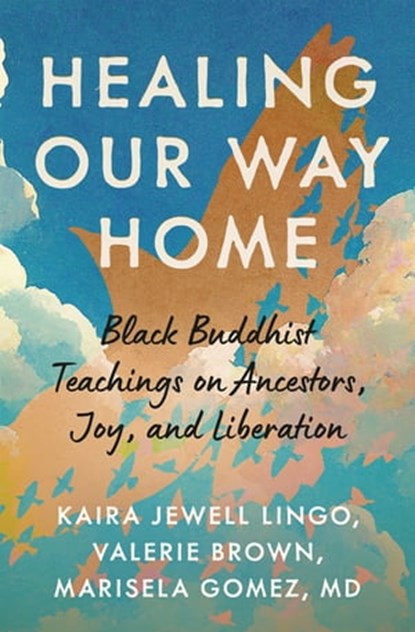 Healing Our Way Home, Kaira Jewel Lingo ; Valerie Brown ; Marisela B. Gomez - Ebook - 9781952692659