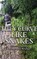 They Curve Like Snakes, MCFARLAND,  David Alexander - Paperback - 9781952869501
