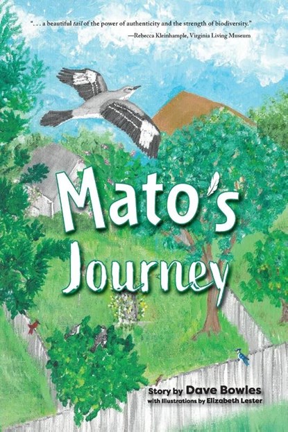 Mato's Journey, Dave Bowles - Paperback - 9781953021991