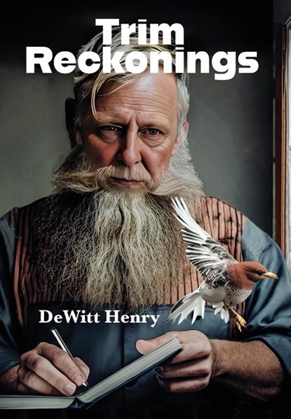 Trim Reckonings, HENRY,  Dewitt - Gebonden - 9781953136428