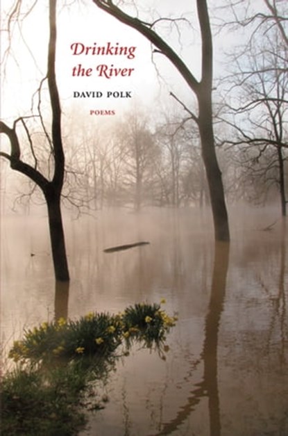 Drinking the River, David Polk - Ebook - 9781953236708