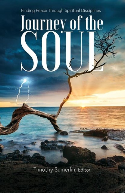 The Soul Journey, Timothy Sumerlin - Paperback - 9781953623867