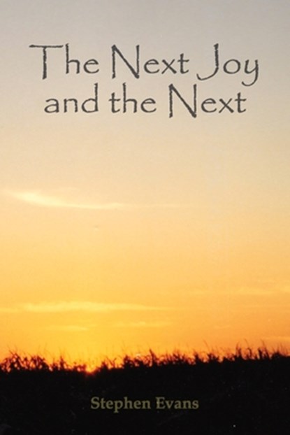 The Next Joy and the Next: A Mythology in Twenty-One Lessons, Stephen Evans - Paperback - 9781953725332