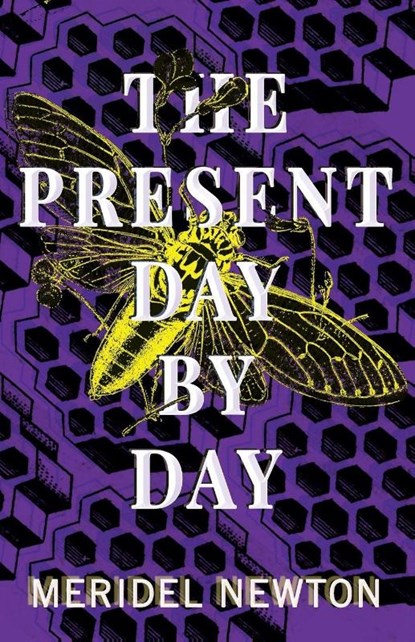 The Present Day by Day, Meridel Newton - Paperback - 9781953736505