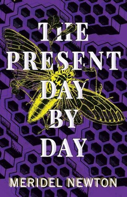 The Present Day By Day, Meridel Newton - Ebook - 9781953736512