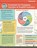 TESOL Zip Guide, Debbie Zacarian - Paperback - 9781953745101