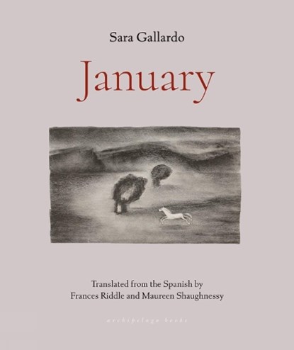 January, Sara Gallardo - Paperback - 9781953861641