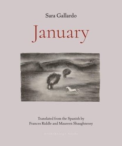 January, Sara Gallardo - Ebook - 9781953861658