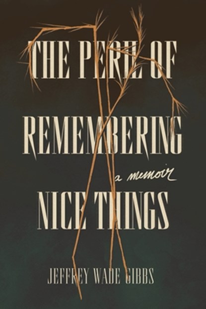 The Peril of Remembering Nice Things, Jeffrey Wade Gibbs - Paperback - 9781953932297