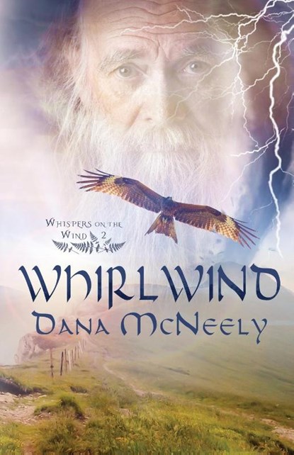 Whirlwind, Dana McNeely - Paperback - 9781953957238