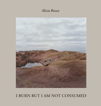I Burn But Am Not Consumed, Alicia Bruce - Gebonden - 9781954119246