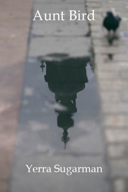 AUNT BIRD, Yerra Sugarman - Paperback - 9781954245143