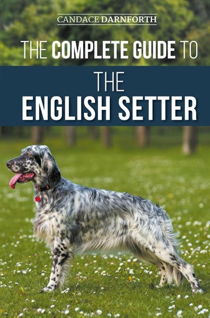 The Complete Guide to the English Setter, Candace Darnforth - Paperback - 9781954288737