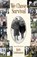 We Chose Survival, Ruth Lindemann - Paperback - 9781954604025