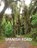 The Spanish Road, Robert R Hurst - Paperback - 9781954617018