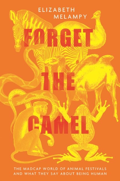 Carnival, Elizabeth MeLampy - Gebonden - 9781954641433