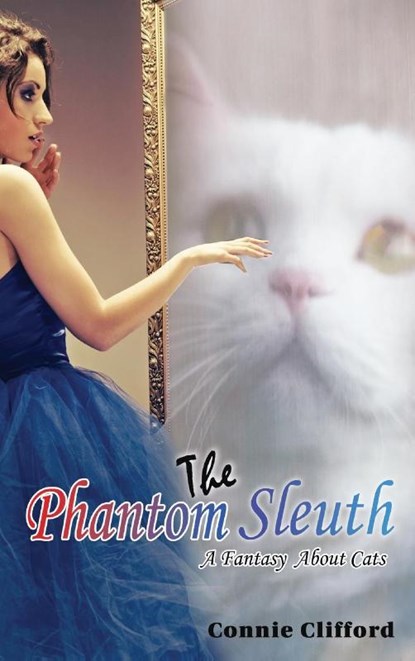 The Phantom Sleuth, Connie Clifford - Gebonden - 9781954673380