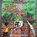 On The Right Path, Brett Gunning ; Stacy A Padula - Paperback - 9781954819276