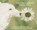 Lessons Learned from Atka, Lois Kral - Gebonden - 9781954819429