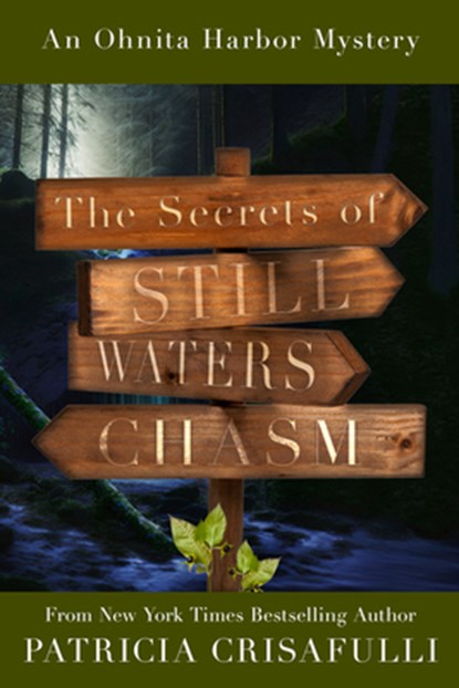 The Secrets of Still Waters Chasm: Book 2 - Ohnita Harbor Mystery Series, Patricia Crisafulli - Paperback - 9781954907645