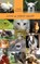 Love at First Sight, Cindy Hedrick - Gebonden - 9781955095044
