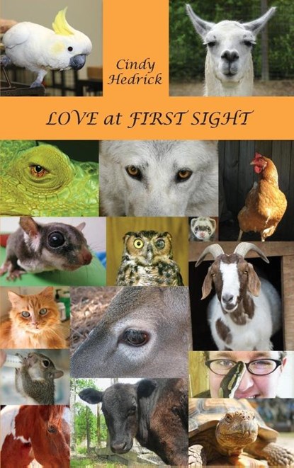 Love at First Sight, Cindy Hedrick - Gebonden - 9781955095044