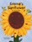 Emma's Sunflower, Phillipa Warden - Paperback - 9781955119139