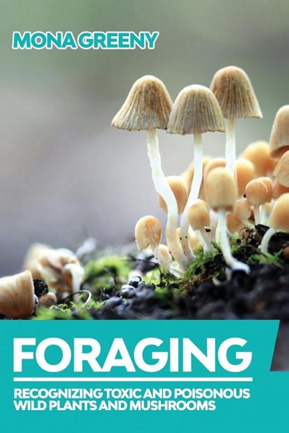 Foraging, Mona Greeny - Paperback - 9781955786089