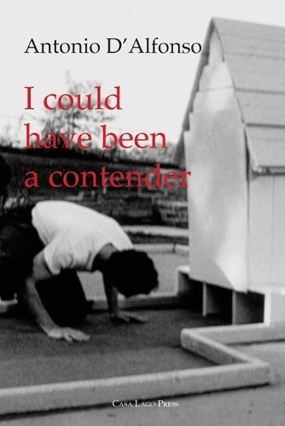 I Could Have Been a Contender (On Five Films), Antonio D'Alfonso - Paperback - 9781955995092