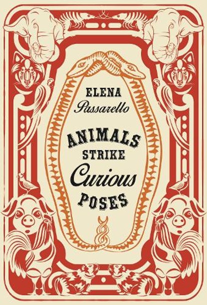 Animals Strike Curious Poses, Elena Passarello - Paperback - 9781956046182