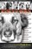 Rescue Dogs, Fred Zirm - Paperback - 9781956285659
