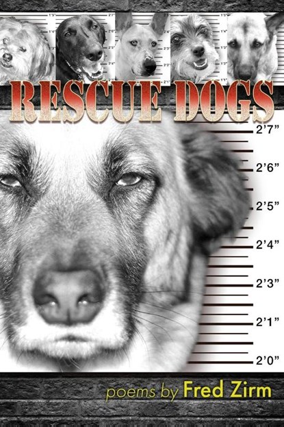 Rescue Dogs, Fred Zirm - Paperback - 9781956285659