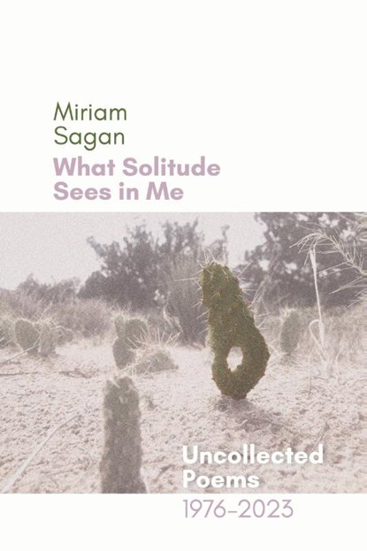 What Solitude Sees in Me, Miriam Sagan - Paperback - 9781956375367