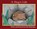 A Slug's Life, John Himmelman - Paperback - 9781956381177