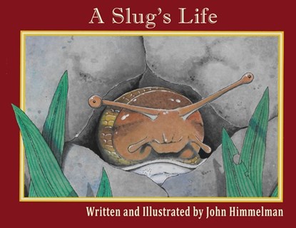 A Slug's Life, John Himmelman - Paperback - 9781956381177