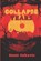 Collapse Years, Damir Salkovic - Paperback - 9781956389197