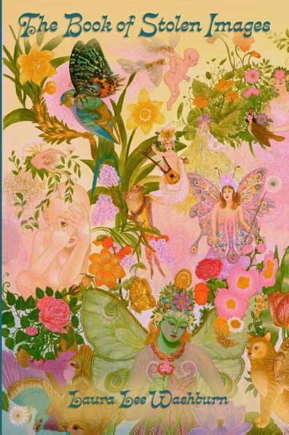 The Book of Stolen Images, Laura Lee Washburn - Paperback - 9781956578355